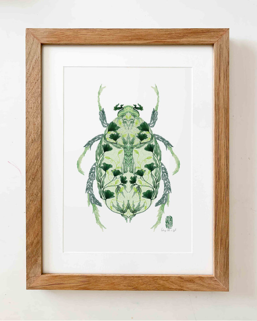 A Beetle's Symmetry - StohneIllustration
