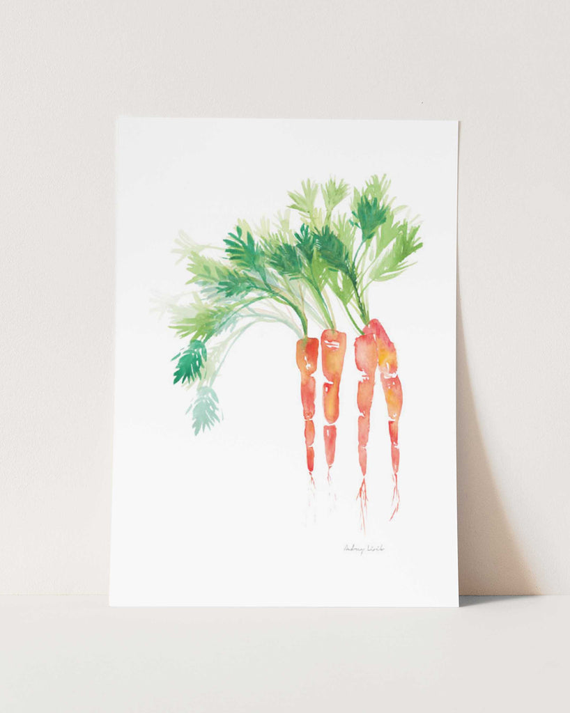 Carrot - StohneIllustration