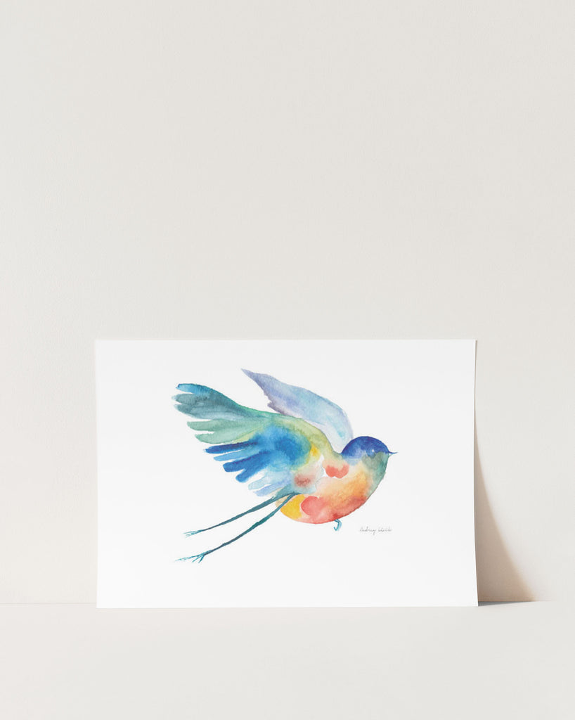 Fly - StohneIllustration
