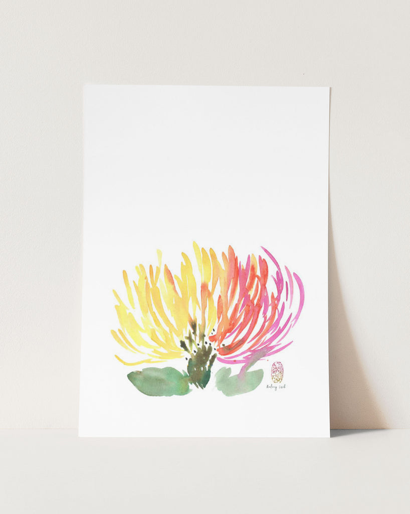 Protea Flower No.2 - StohneIllustration